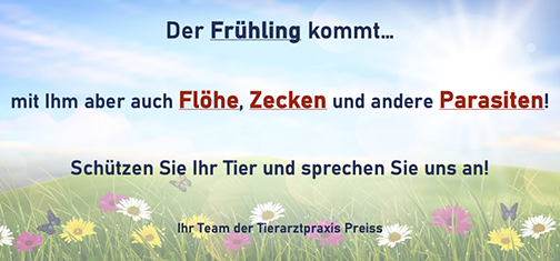 Bild Frühling